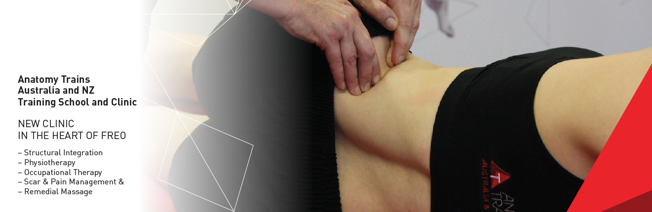 Training School & Clinic In Fremantle