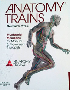 Anatomy Trains by Thomas W Myers