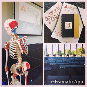 Anatomy Trains in Motion - Perth